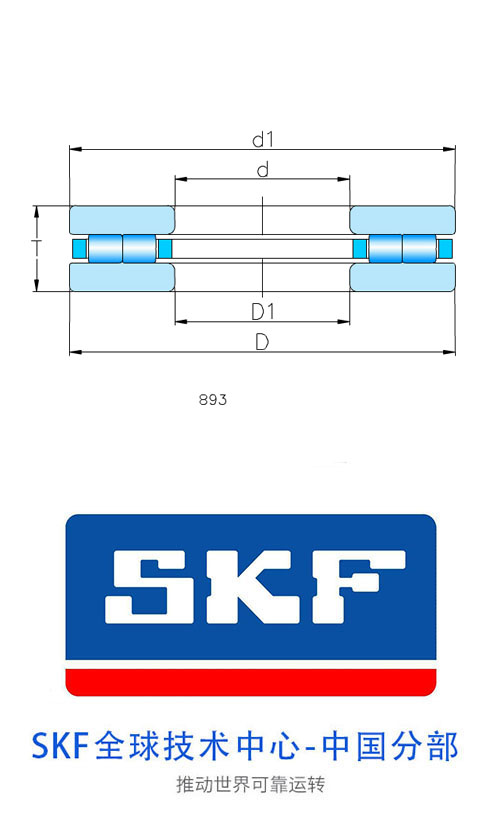 K 89313 TN